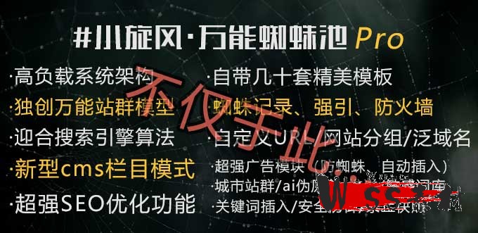 小旋风Pro版本各项功能的操作视频演示