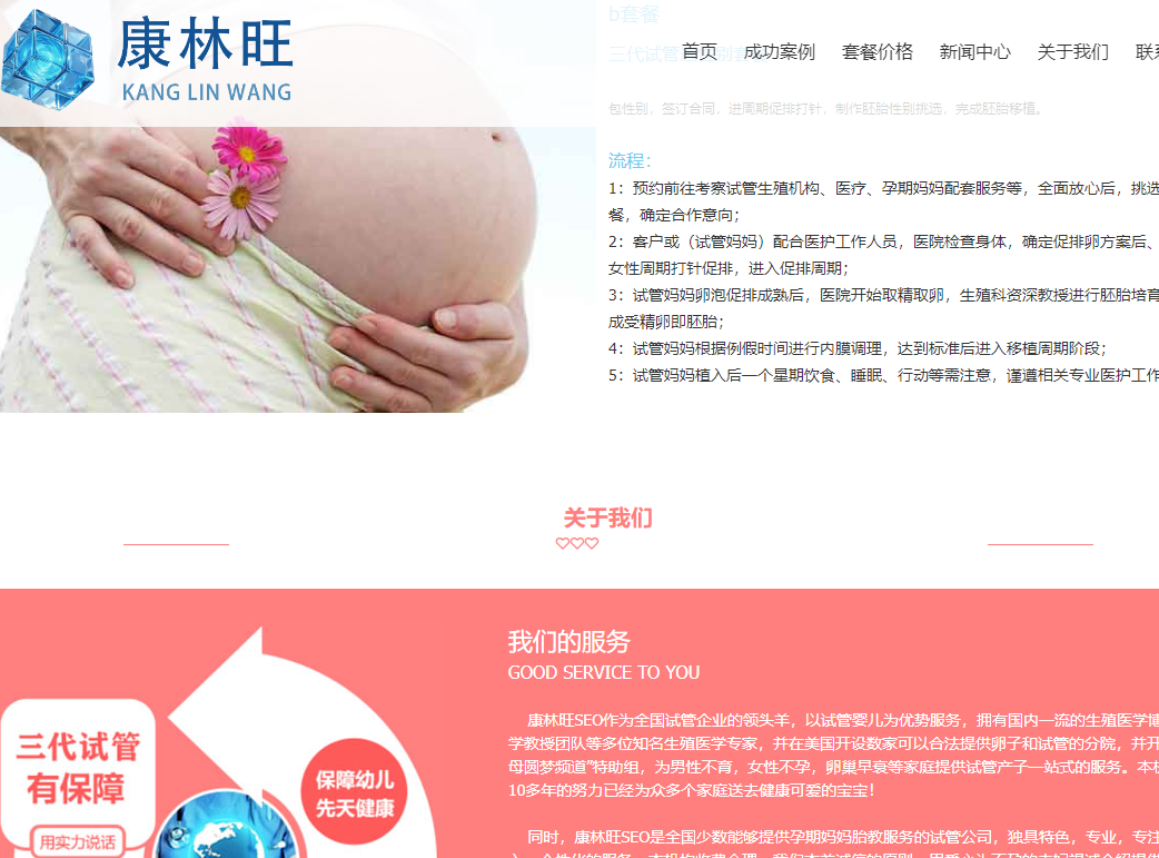 医疗行业网站模板定制_企业网站页面齐全Bbear